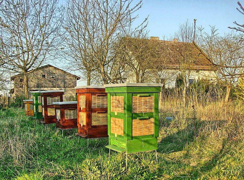 Pasieka wiosną po dostawieniu korpusów